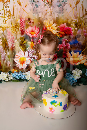 Boho Wildflower First Birthday Cake Smash Photography in Kansas City