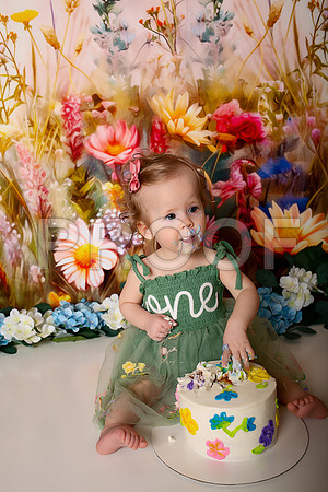 Boho Wildflower First Birthday Cake Smash Photography in Kansas City