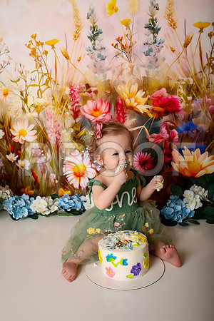 Boho Wildflower First Birthday Cake Smash Photography in Kansas City