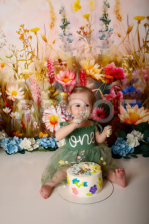 Boho Wildflower First Birthday Cake Smash Photography in Kansas City