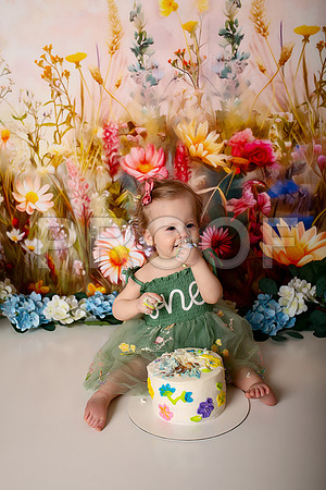 Boho Wildflower First Birthday Cake Smash Photography in Kansas City
