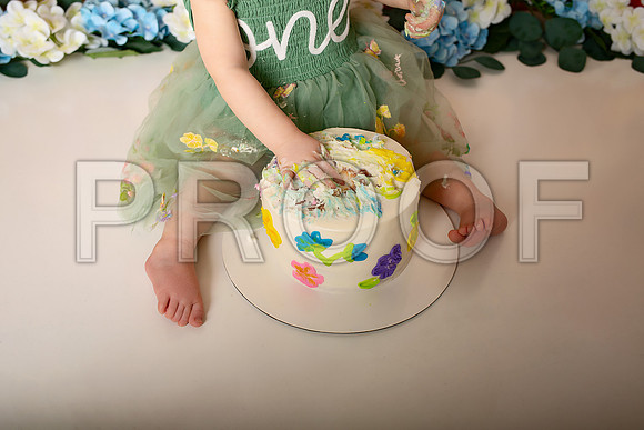 Boho Wildflower First Birthday Cake Smash Photography in Kansas City