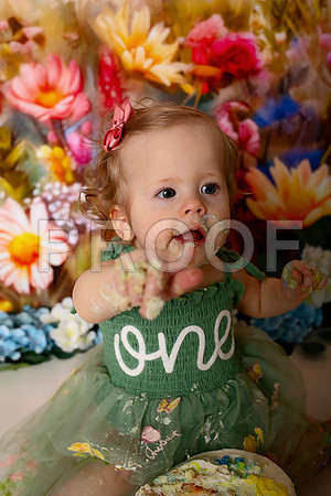 Boho Wildflower First Birthday Cake Smash Photography in Kansas City