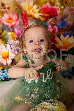 Boho Wildflower First Birthday Cake Smash Photography in Kansas City