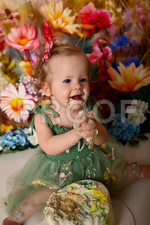 Boho Wildflower First Birthday Cake Smash Photography in Kansas City
