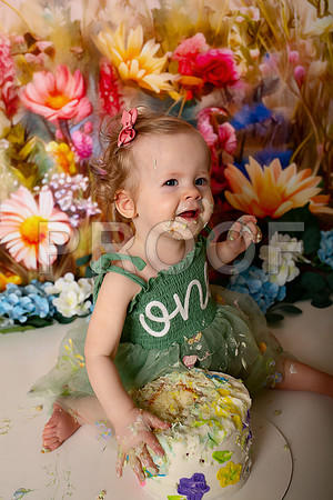 Boho Wildflower First Birthday Cake Smash Photography in Kansas City