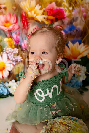 Boho Wildflower First Birthday Cake Smash Photography in Kansas City