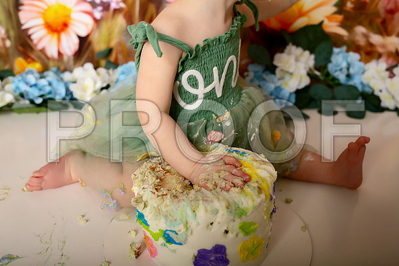 Boho Wildflower First Birthday Cake Smash Photography in Kansas City