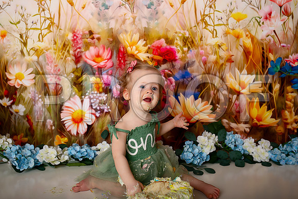 Boho Wildflower First Birthday Cake Smash Photography in Kansas City