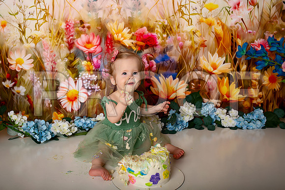 Boho Wildflower First Birthday Cake Smash Photography in Kansas City