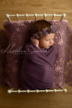 Kansas City Newborn Photographer | Award-Winning Baby Portraits