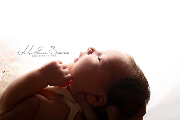 Kansas City Newborn Photographer | Award-Winning Baby Portraits