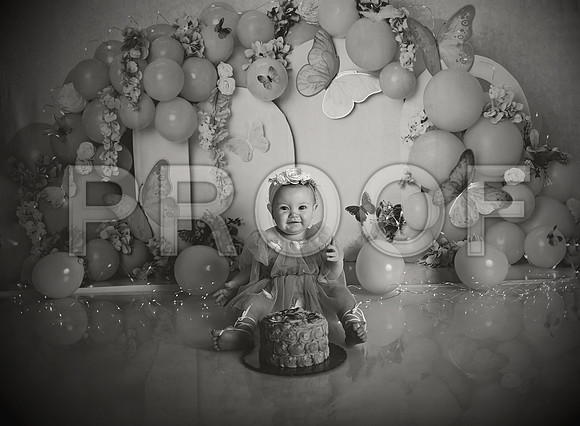 Kansas City Cake Smash Photographer | Butterfly Theme Portraits | Heather Sears Photography