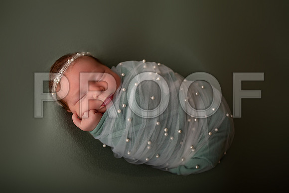 Kansas City Newborn Photographer | Award-Winning Baby Portraits