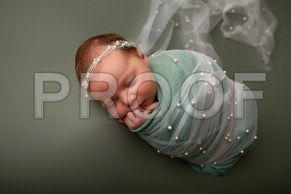 Kansas City Newborn Photographer | Award-Winning Baby Portraits