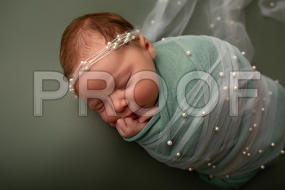 Kansas City Newborn Photographer | Award-Winning Baby Portraits