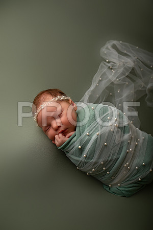 Kansas City Newborn Photographer | Award-Winning Baby Portraits