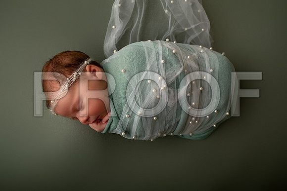 Kansas City Newborn Photographer | Award-Winning Baby Portraits