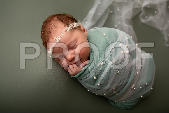 Kansas City Newborn Photographer | Award-Winning Baby Portraits