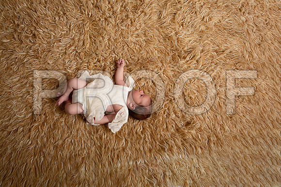 Kansas City Newborn Photographer | Award-Winning Baby Portraits