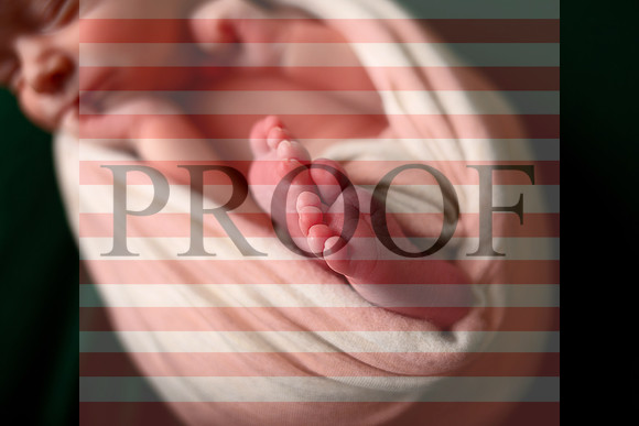 Kansas City Newborn Photographer | Award-Winning Baby Portraits