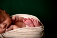Kansas City Newborn Photographer | Award-Winning Baby Portraits