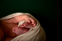 Kansas City Newborn Photographer | Award-Winning Baby Portraits
