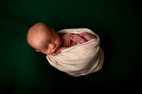 Kansas City Newborn Photographer | Award-Winning Baby Portraits