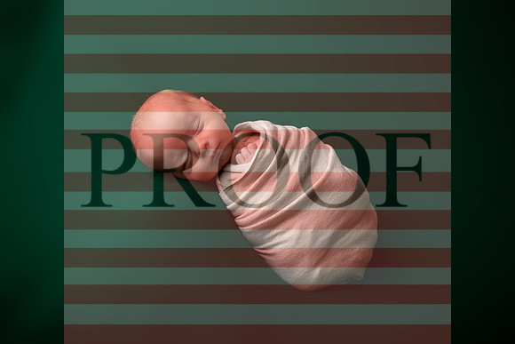 Kansas City Newborn Photographer | Award-Winning Baby Portraits