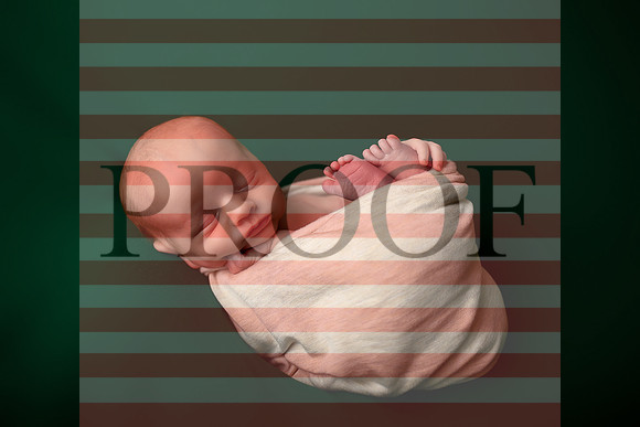 Kansas City Newborn Photographer | Award-Winning Baby Portraits