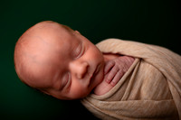 Kansas City Newborn Photographer | Award-Winning Baby Portraits