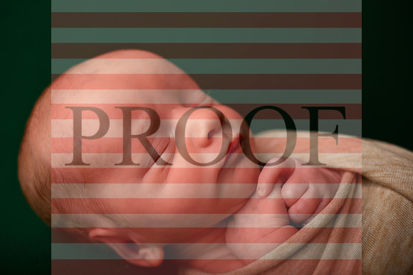 Kansas City Newborn Photographer | Award-Winning Baby Portraits