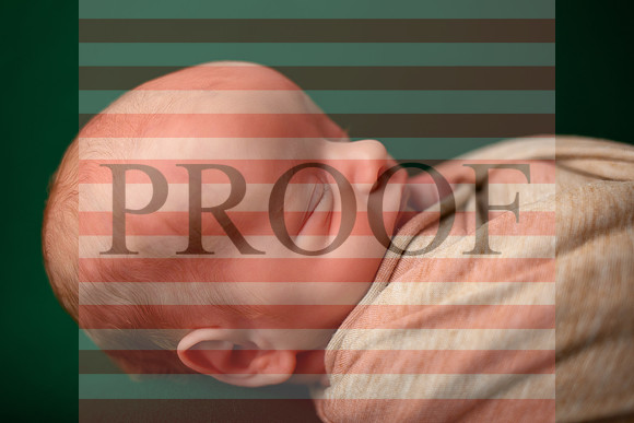 Kansas City Newborn Photographer | Award-Winning Baby Portraits