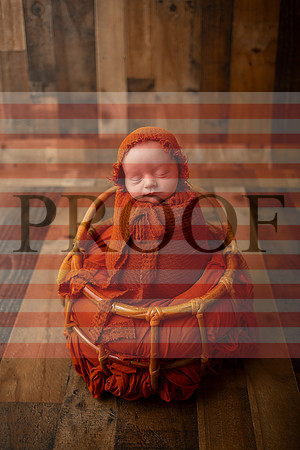 Kansas City Newborn Photographer | Award-Winning Baby Portraits
