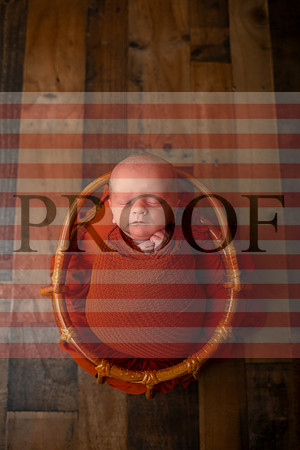 Kansas City Newborn Photographer | Award-Winning Baby Portraits