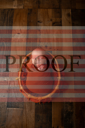 Kansas City Newborn Photographer | Award-Winning Baby Portraits