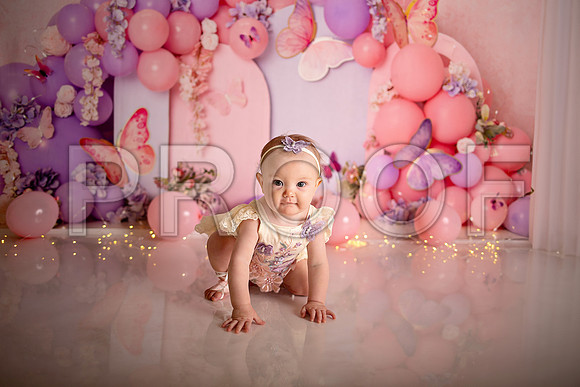 Kansas City Cake Smash Photographer | Butterfly Theme Portraits | Heather Sears Photography