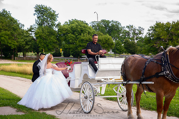 Heather Sears Photography | Timeless Luxury Wedding & Portrait Photography for Kansas City Couples