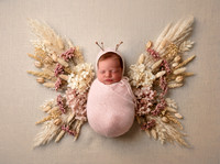 Kansas City Newborn Photographer | Award-Winning Baby Portraits