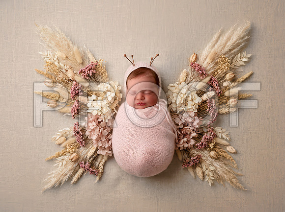 Kansas City Newborn Photographer | Award-Winning Baby Portraits