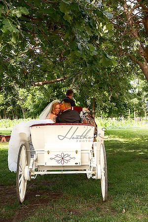 Heather Sears Photography | Timeless Luxury Wedding & Portrait Photography for Kansas City Couples
