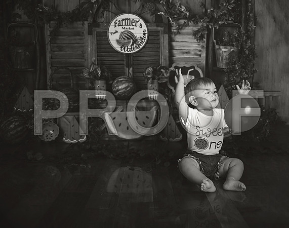 Kansas City Watermelon Cake Smash Photographer | First Birthday Portraits