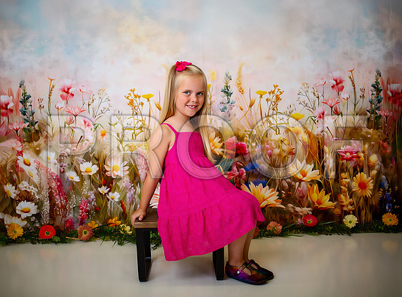 Kansas City Milestone Photographer | Osawatomie Studio Photo Session