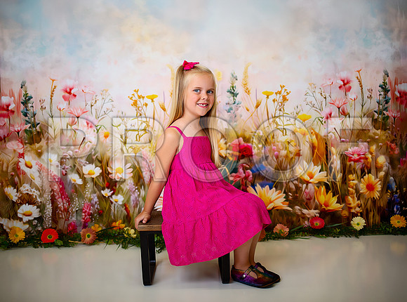 Kansas City Milestone Photographer | Osawatomie Studio Photo Session