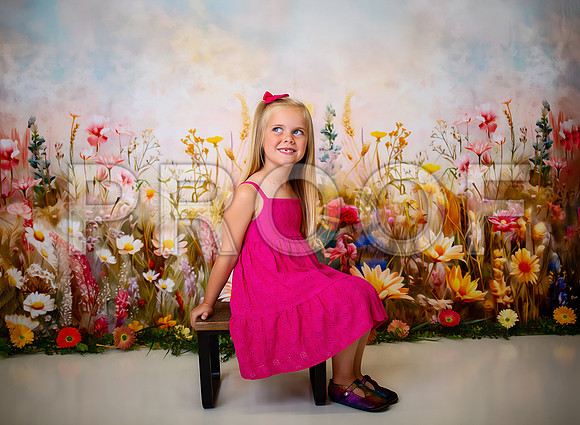 Kansas City Milestone Photographer | Osawatomie Studio Photo Session