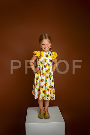 Kansas City Milestone Photographer | Osawatomie Studio Photo Session