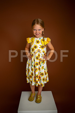 Kansas City Milestone Photographer | Osawatomie Studio Photo Session