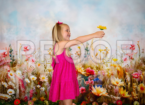 Kansas City Milestone Photographer | Osawatomie Studio Photo Session