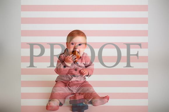 Kansas City Milestone Photographer | Osawatomie Studio Photo Session