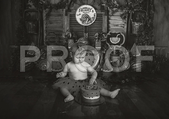 Kansas City Watermelon Cake Smash Photographer | First Birthday Portraits